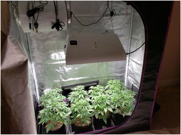 Ventilation Will Breathe New Life Into Your Hydroponic Plants