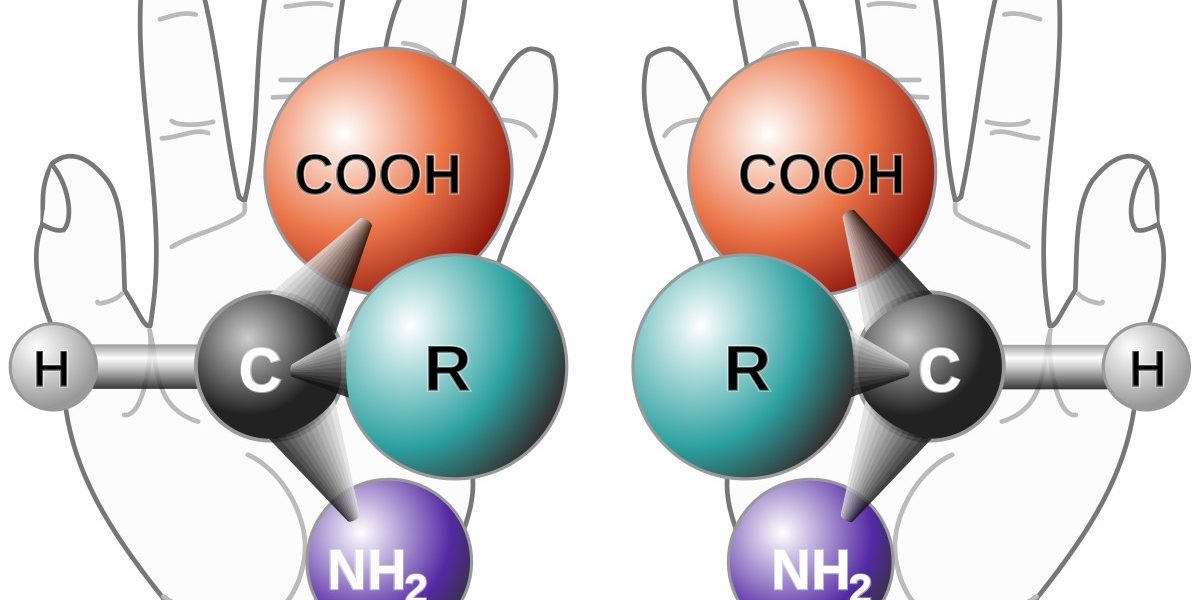 Role of the Chiral Carbon in Protein Synthesis - Daily Nutrition News